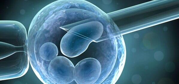 Stem Cell, Harapan Dunia Kedokteran