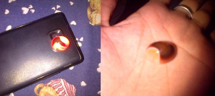 cari bacan merah siam junjung drajat spirtus cari bacan merah siam junjung drajat spirtus