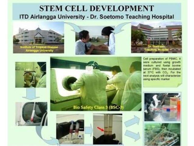 Joybiz Kabupaten Tapanuli Tengah MLM Terbaik 2019 