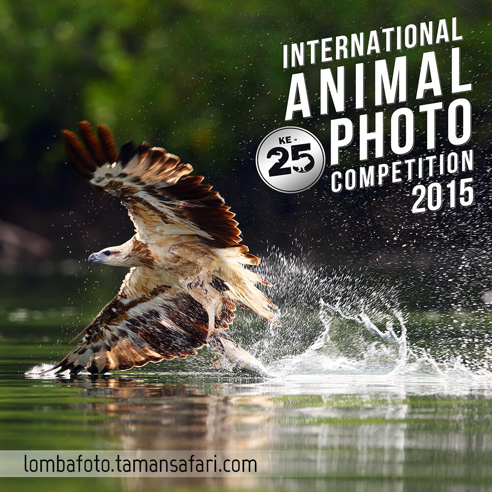 International Animal Photo Competition IAPC Media Partner By