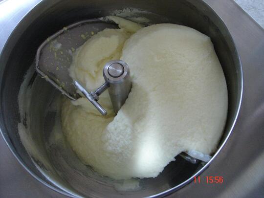 jual cupang samarinda