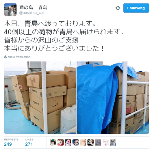 Ketika Pulau Kucing di Jepang Meminta Bantuan Makanan Kucing!