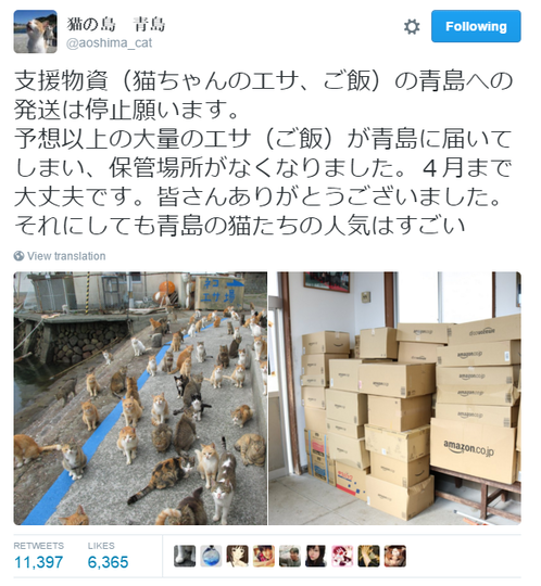 Ketika Pulau Kucing di Jepang Meminta Bantuan Makanan Kucing!