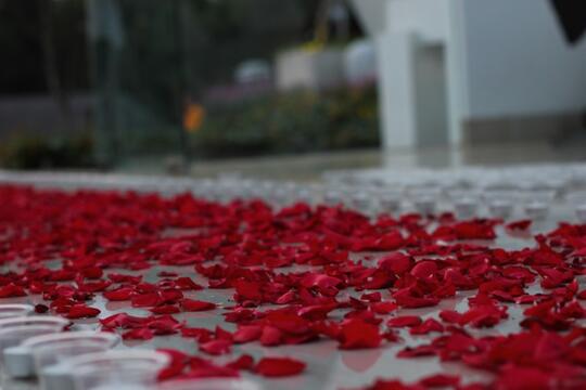 [Sharing] Pengalaman Surprise / Kejutan Ulang Tahun Untuk Pacar