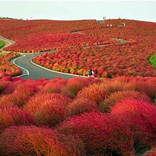 15 Tempat unik di bumi yang bikin nggak percaya keberadaannya!