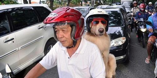  Inilah Fenomena Cara Memakai Helm Yang Berada  Disekitar Kita...