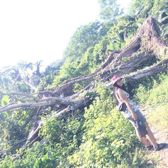 KALIMPAT, Keindahan di balik Pulau Nusakambangan.
