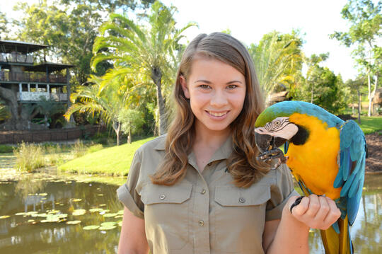 Mengenal Steve Irwin "The Crocodile Hunter"