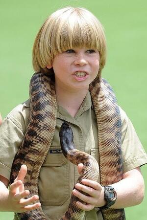 Mengenal Steve Irwin "The Crocodile Hunter"