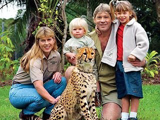 Mengenal Steve Irwin "The Crocodile Hunter"