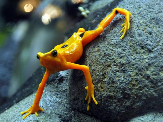 Bumi, 500 Years Later (halah mulustrasi++)