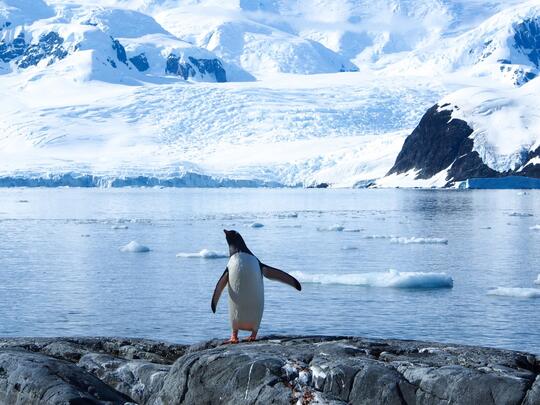 Bumi, 500 Years Later (halah mulustrasi++)