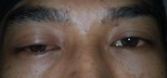 Ane LULUSAN SMP gan. "INILAH" kerjaan ane.