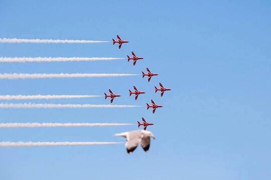 Pengambilan Gambar Yang Tak Di Sengaja