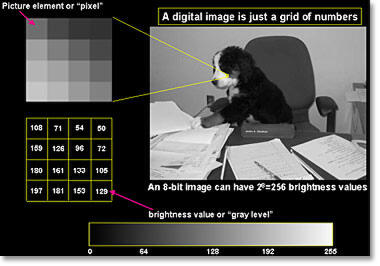 Foto Foto Tentang Kebohongan Peristiwa Holocaust ( Holohoax )