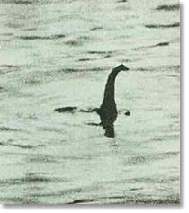 Foto Foto Tentang Kebohongan Peristiwa Holocaust ( Holohoax )