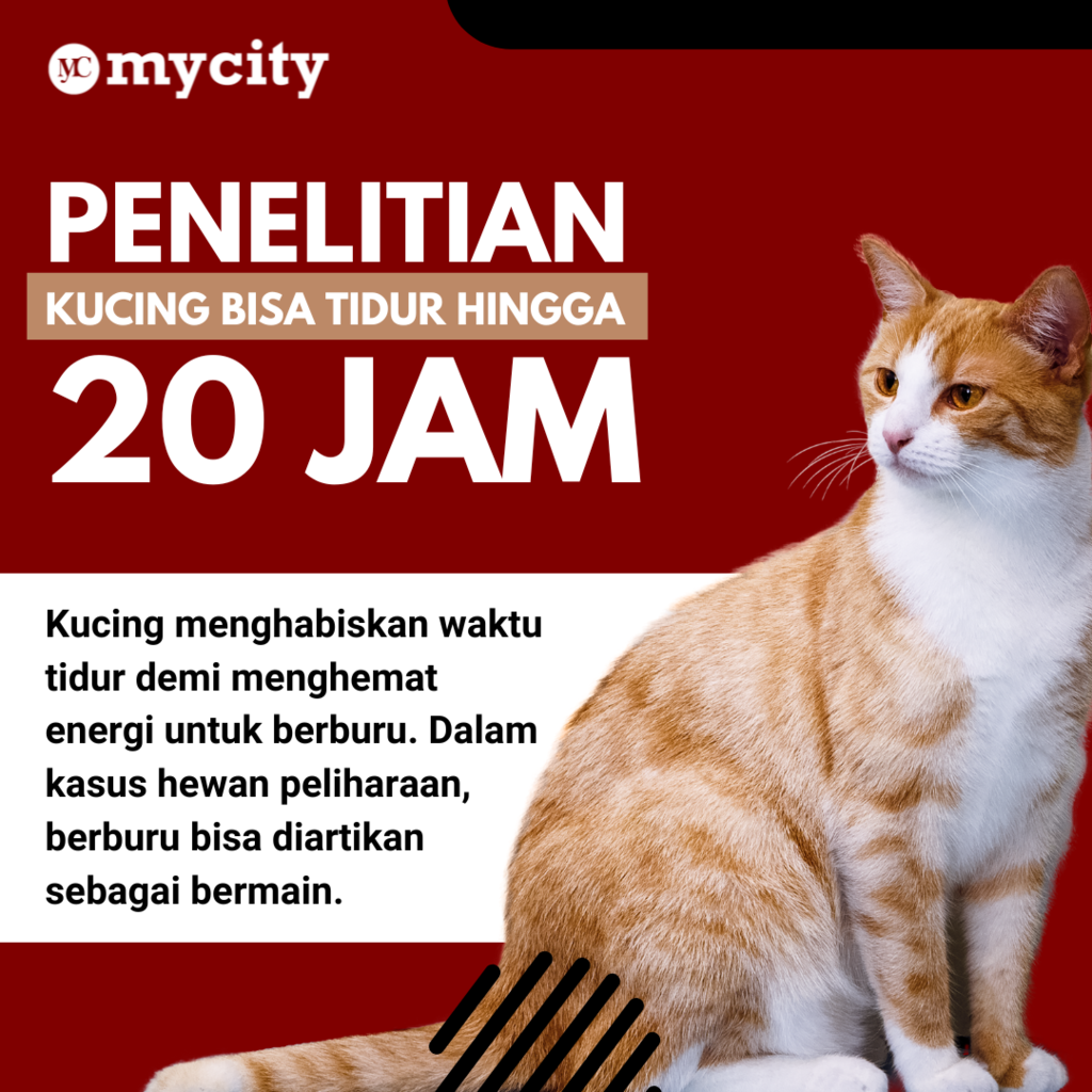 https://s.kaskus.id/images/2022/12/06/11326205_20221206094501.png