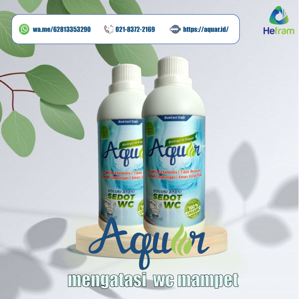 https://s.kaskus.id/images/2023/03/27/11364593_20230327113526.png