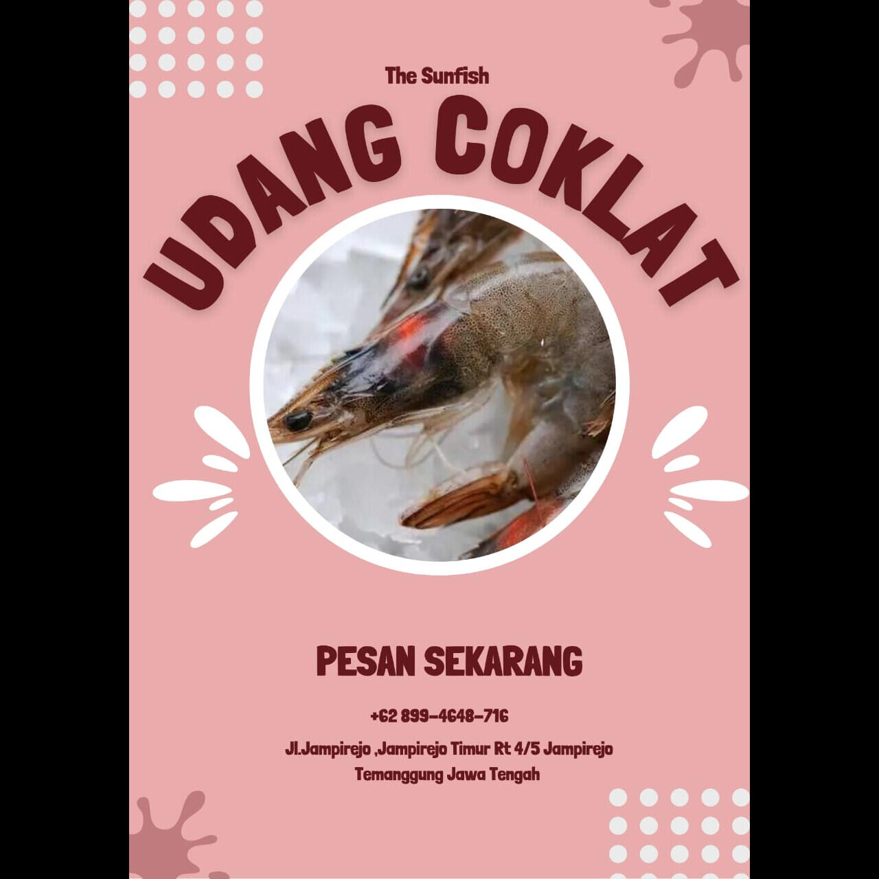 https://s.kaskus.id/images/2023/08/09/11438586_20230809091731.jpeg