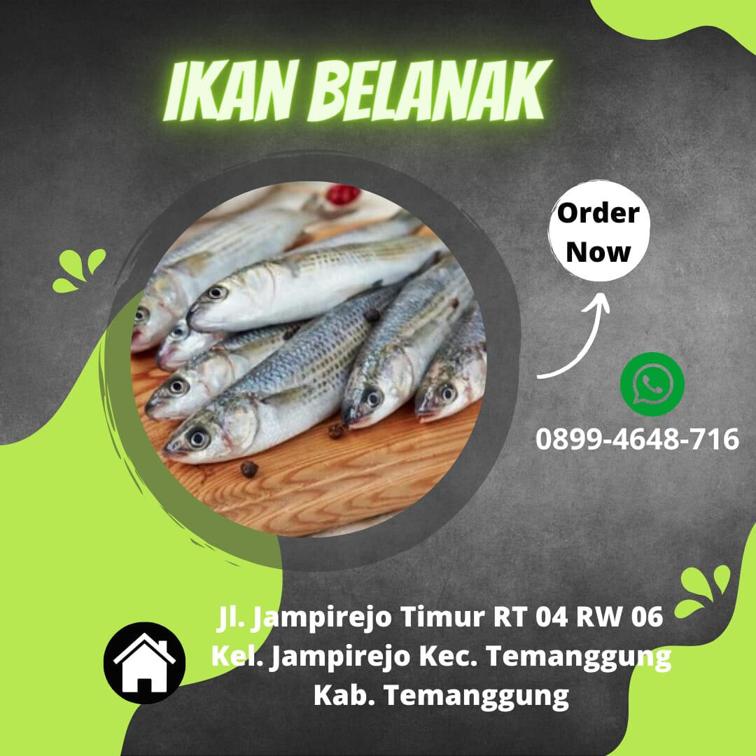 https://s.kaskus.id/images/2023/08/11/11438586_20230811105648.jpeg