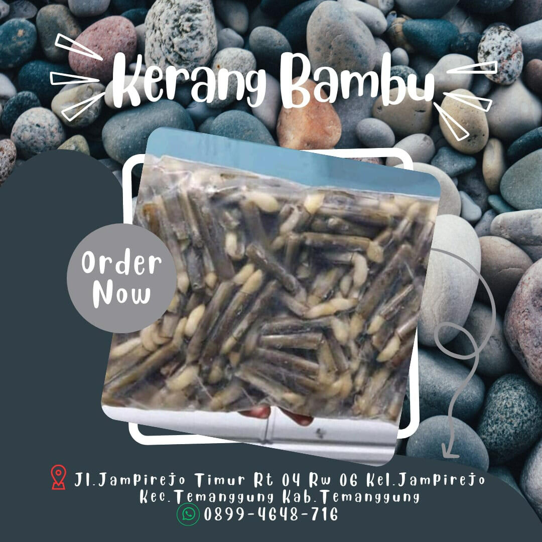 https://s.kaskus.id/images/2023/08/15/11438586_20230815084101.jpeg
