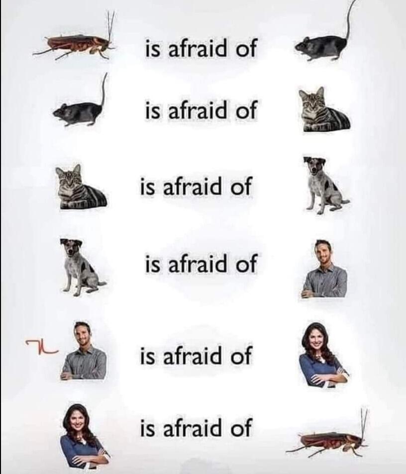 https://s.kaskus.id/images/2023/11/30/11473376_20231130080026.jpeg