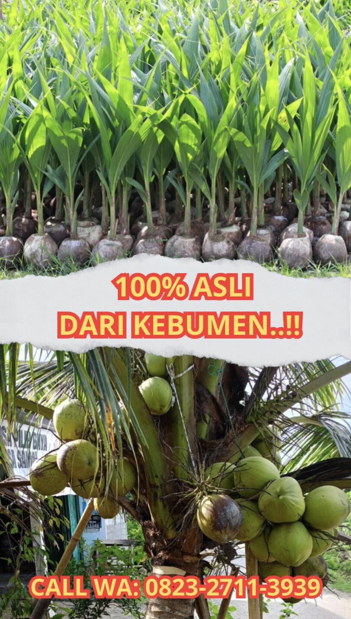 https://s.kaskus.id/images/2025/09/03/11824565_1008_20250903085822.jpeg