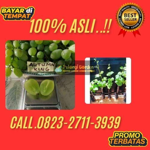 https://s.kaskus.id/images/2025/09/16/11824564_0306_20250916084521.jpg