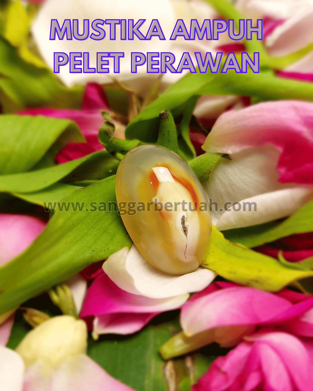 https://s.kaskus.id/images/2026/02/27/4181218_8616_20260227063525.png