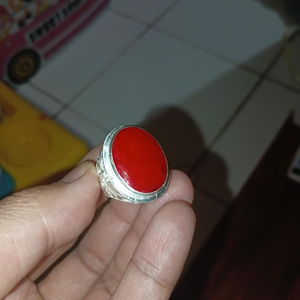 https://s.kaskus.id/images/2026/04/14/9949_10824484_1424_20260414032431.jpg