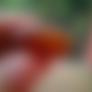 red-rafflesia