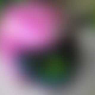 helm-gm-hello-kity-pink