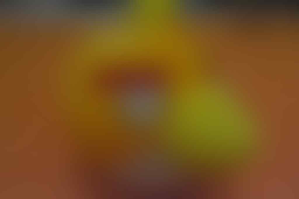 ++ Jual Cepat Boneka Angry Bird Kuning ++