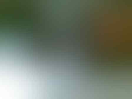 Dijual LAPUN (jaring babi)