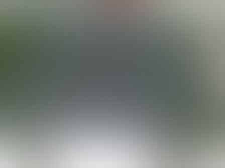 Dijual LAPUN (jaring babi)