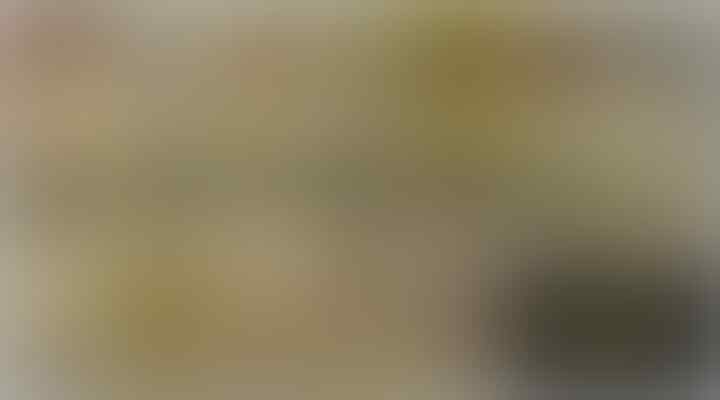 Legenda Hidup Juventus & Italia ALESSANDRO DEL PIERO