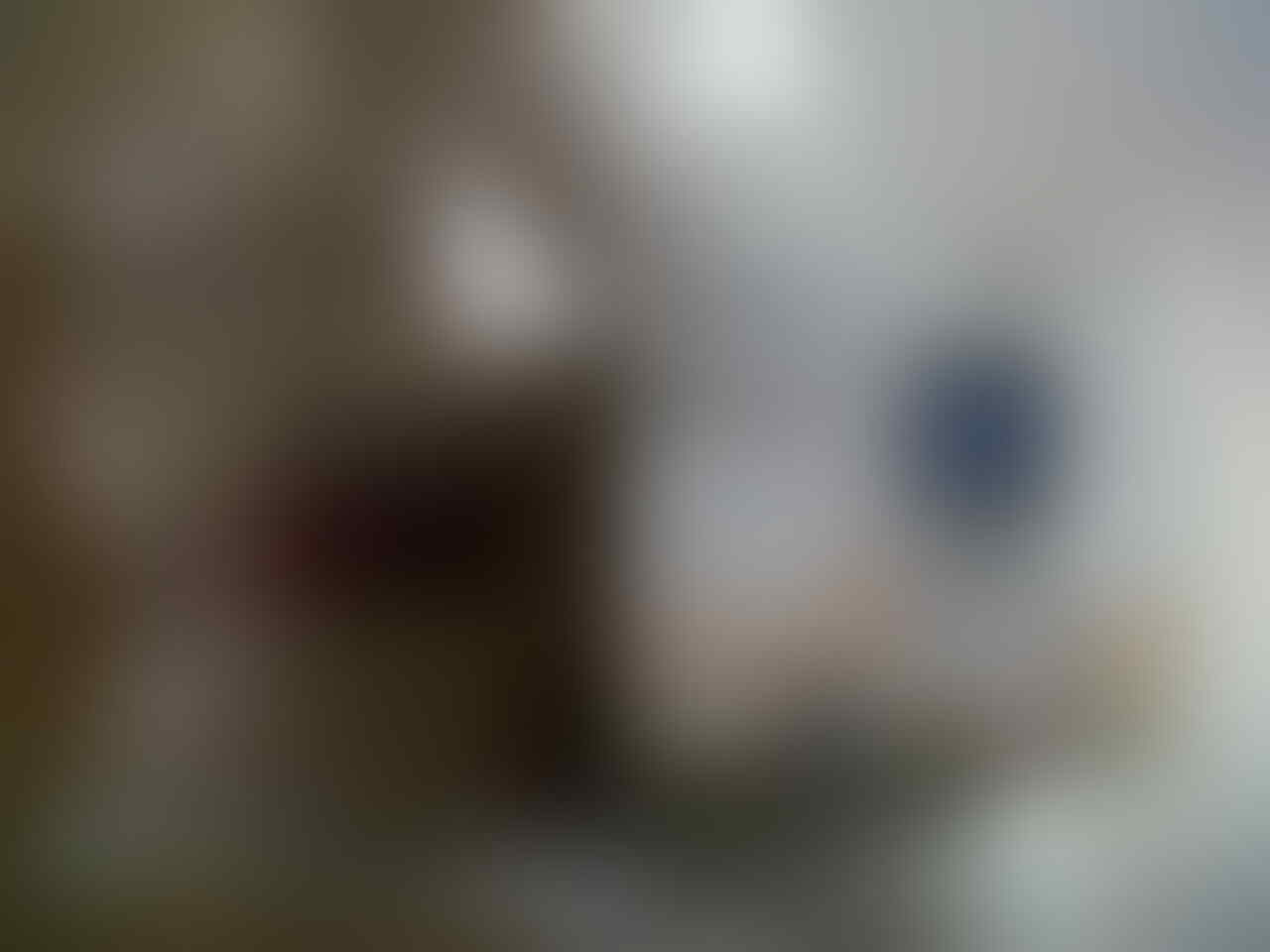 Terjual Design Undangan Format Cdr Full Colour Coreldraw