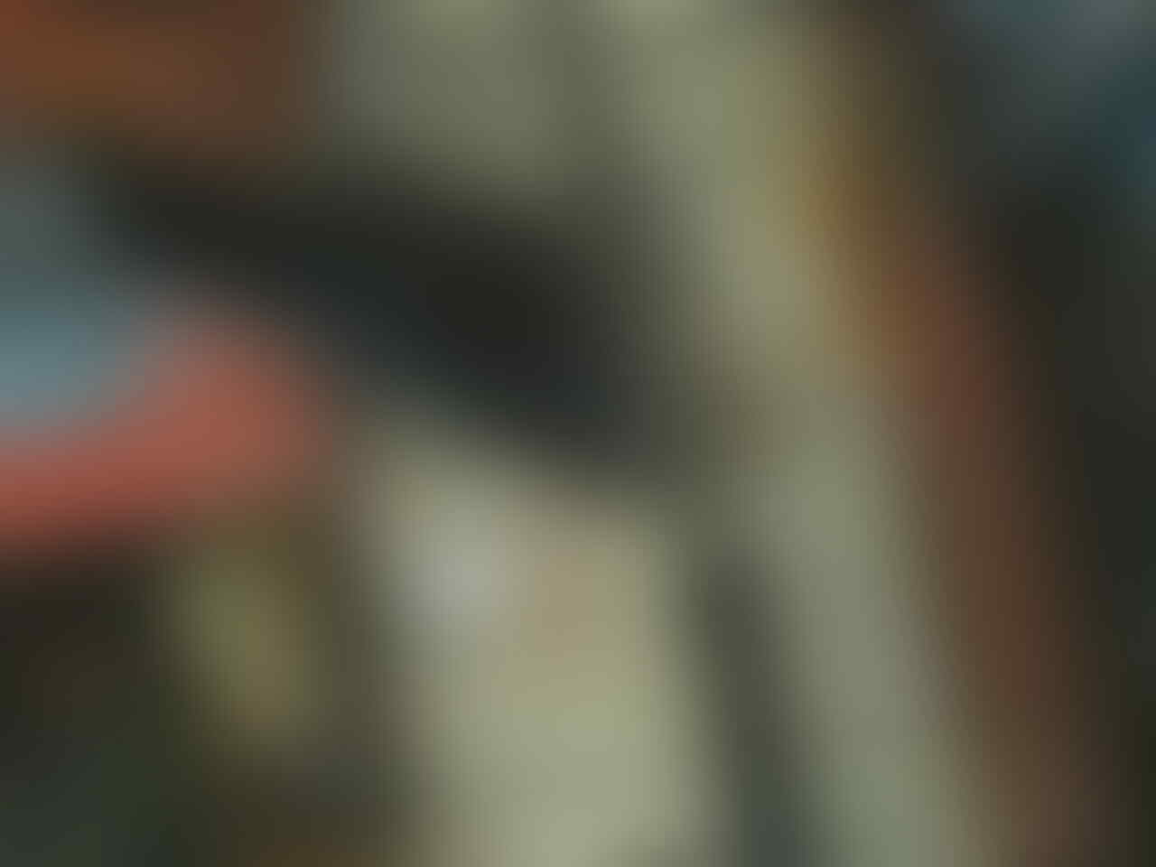 Terjual Jual Burung Kicau Murah Kaskus