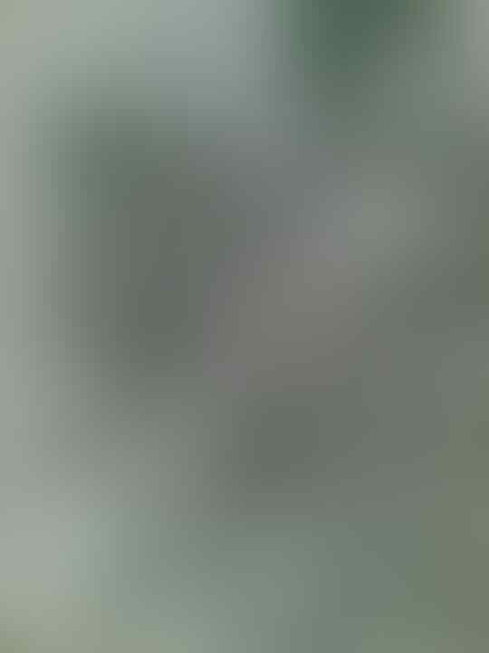 KUMPULAN GAMBAR BUATAN ANE GAN +PIC (bukan sotosop)