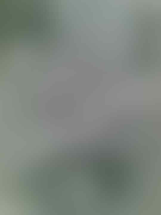 KUMPULAN GAMBAR BUATAN ANE GAN +PIC (bukan sotosop)