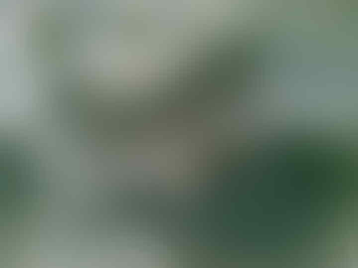 KUMPULAN GAMBAR BUATAN ANE GAN +PIC (bukan sotosop)