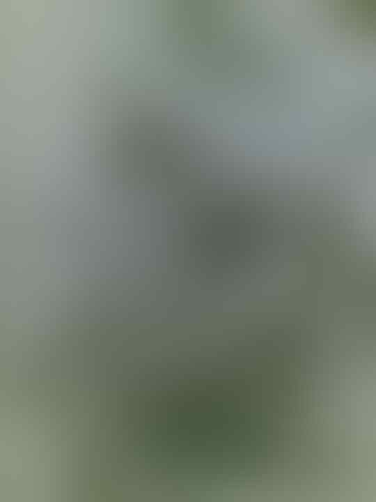 KUMPULAN GAMBAR BUATAN ANE GAN +PIC (bukan sotosop)