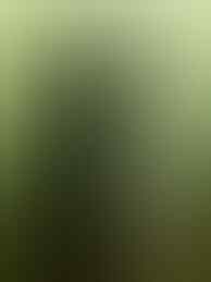 Blackberry Torch 9800 kondisi 100%