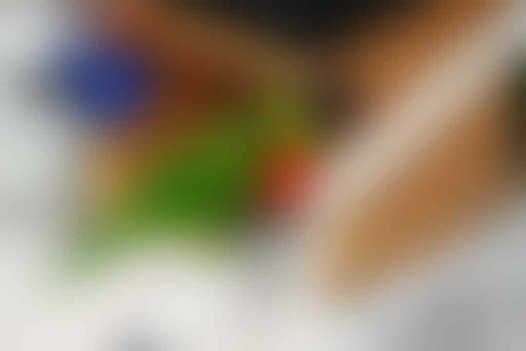 Terjual Jual Burung Nuri Pelangi Kaskus