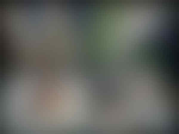 Bantu like foto kucing ane gan.. Lg ikut kontes foto nih. hehehe :)