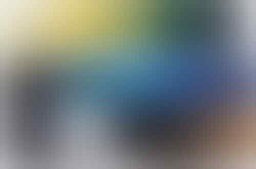 BROS BUNGA WARNA WARNI