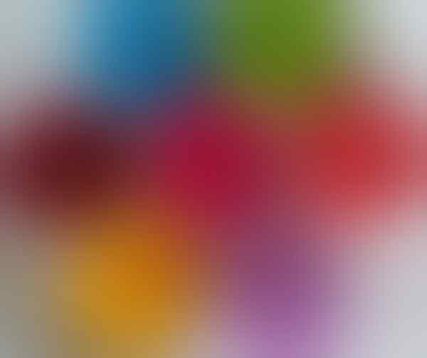 BROS BUNGA WARNA WARNI