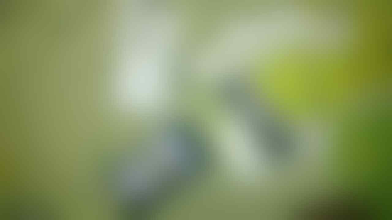BNIB Q5 TAM dan sebagainya dibawah 3jt garansi 2tahun puannnjanggg