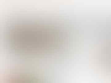 Jasa Pembuatan Website Custom Toko Online, Company Profile, Blog, Forum - PROMO!