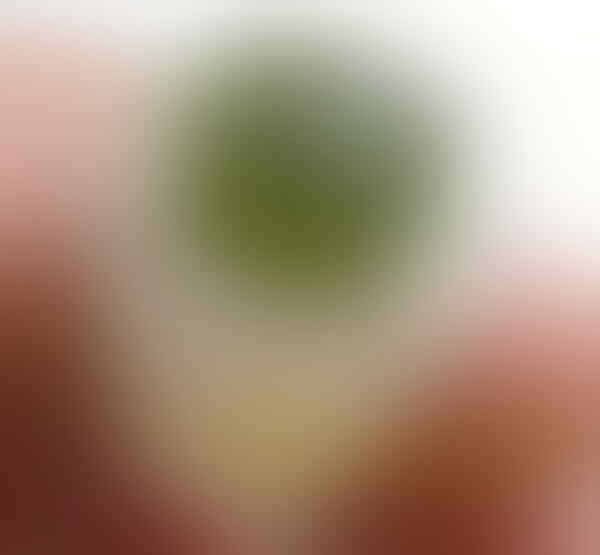 cincin batu permata/mulia/gemstones low price (update)